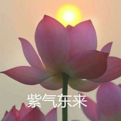 红警大战手机版破解版下载